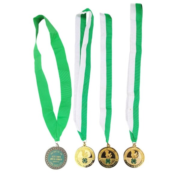 Vintage 4H Dog Show Medals Lot of 4 Metal Collection Osage County Fair Kansas - Picture 1 of 14